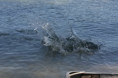 IMG 9736