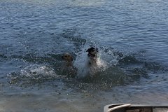 IMG 9738