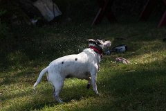 IMG 9760