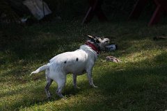 IMG 9762