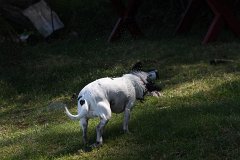 IMG 9764