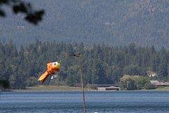 IMG 9766