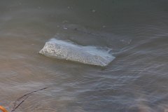 IMG 9797