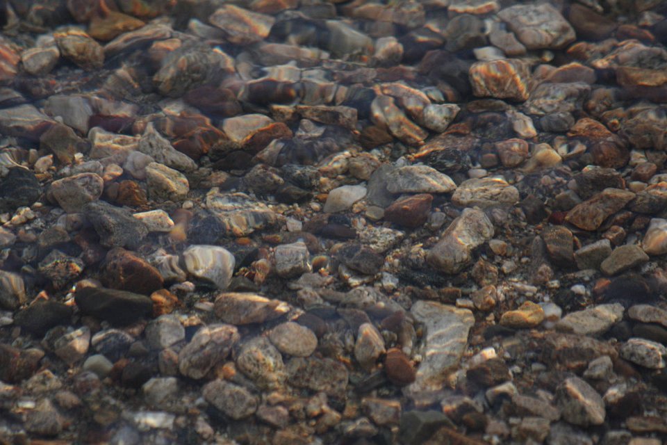 IMG-20100822-062339