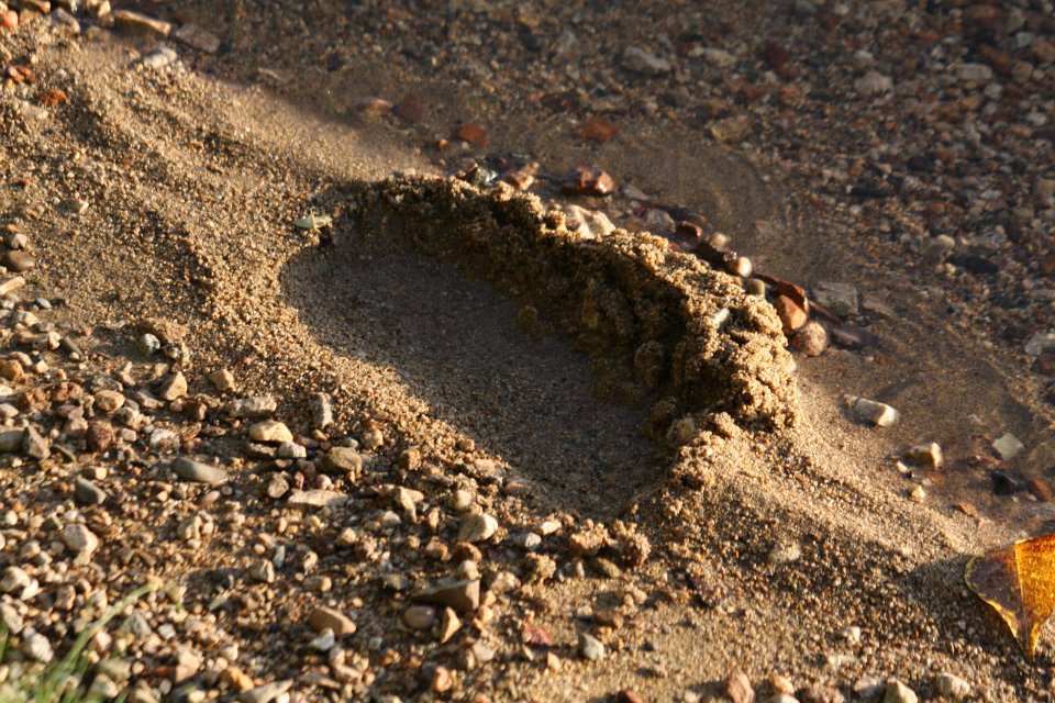 IMG-20100822-062350