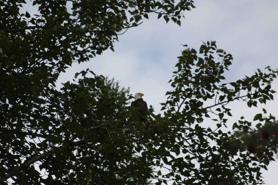 IMG-20100822-080827