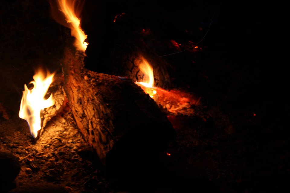 IMG-20100824-201237