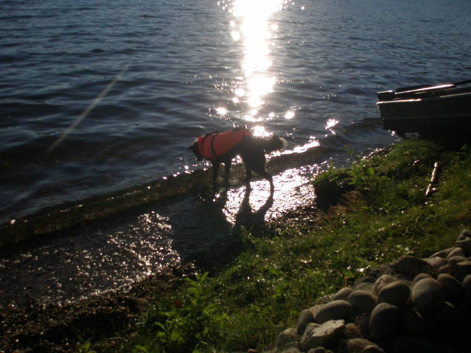 IMG-20100825-072529