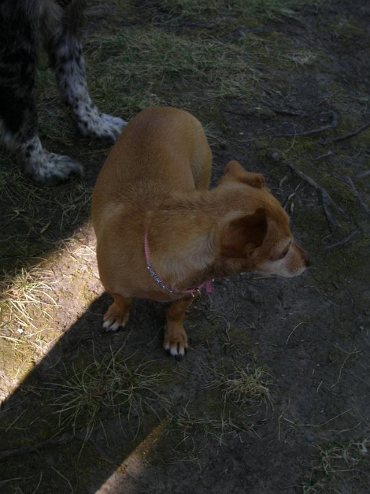 IMG-20100825-092812
