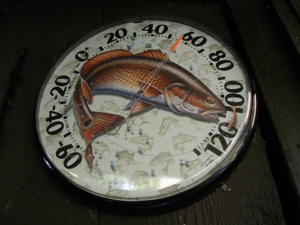 IMG-20100826-082541