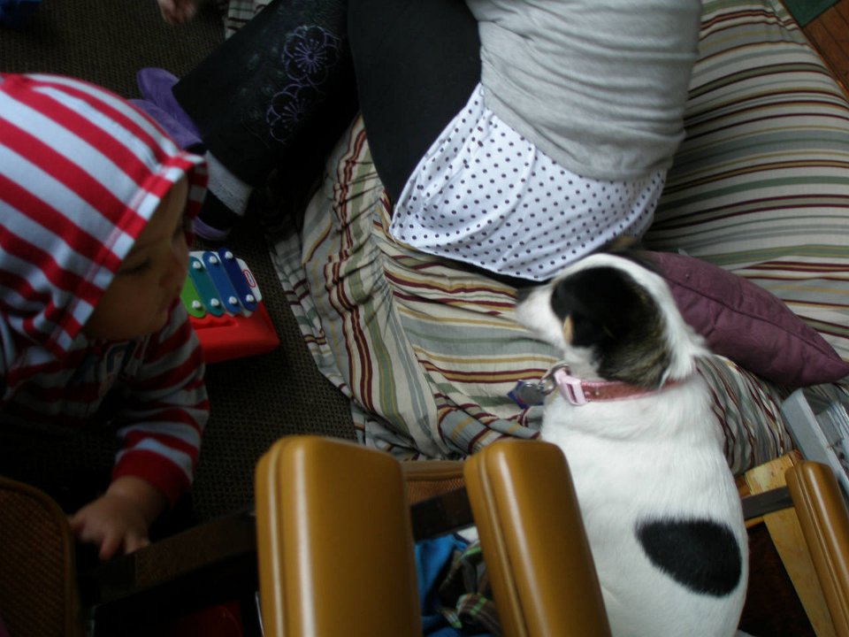 IMG-20100826-094745