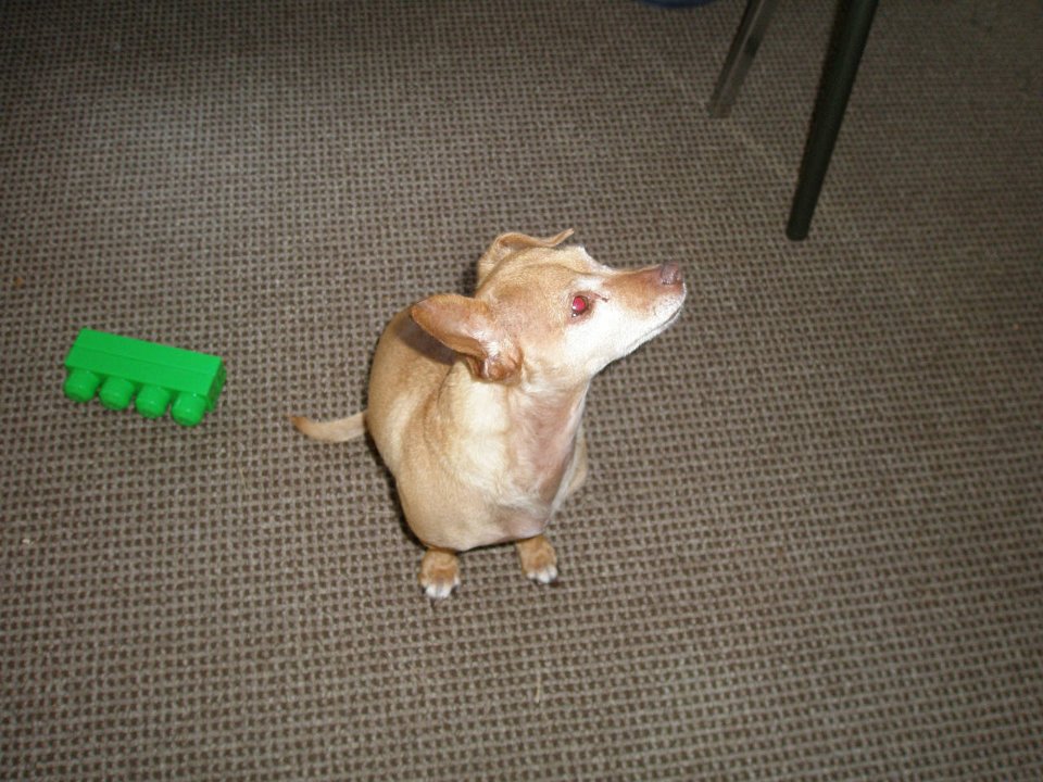 IMG-20100826-103614