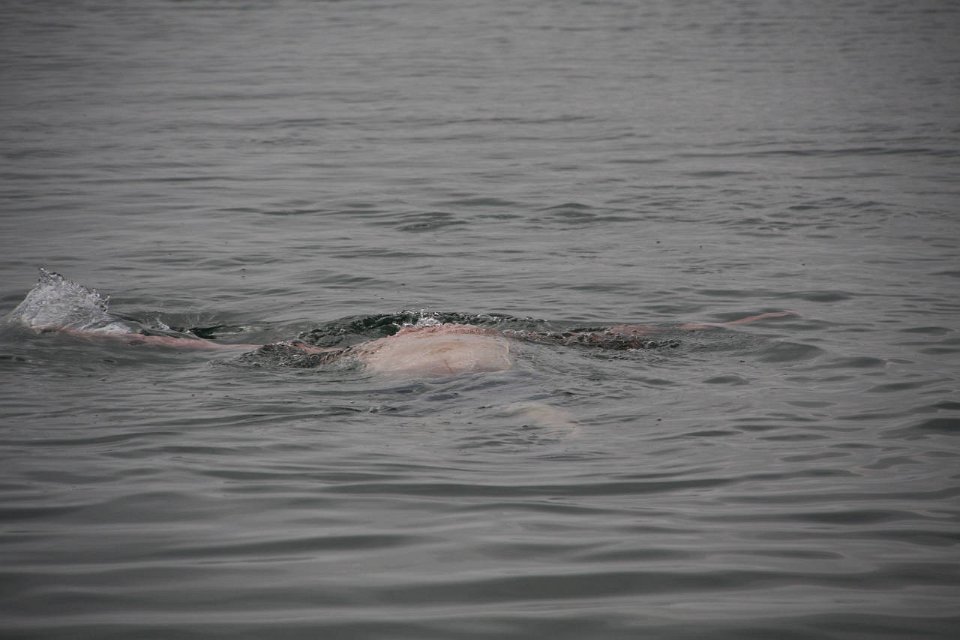 IMG-20100826-164254