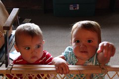 IMG-20100821-163444