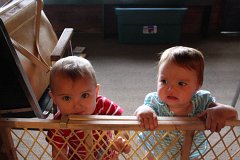 IMG-20100821-163447