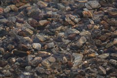 IMG-20100822-062339