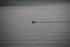 IMG-20100822-064412
