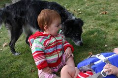 IMG-20100822-073941