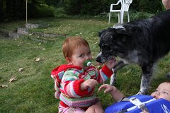 IMG-20100822-073947