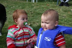 IMG-20100822-073957