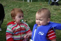 IMG-20100822-073957a