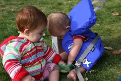 IMG-20100822-074155