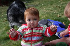 IMG-20100822-074252