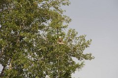 IMG-20100822-075925