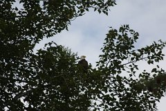 IMG-20100822-080827