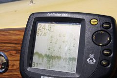 IMG-20100822-140604