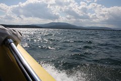 IMG-20100822-141942