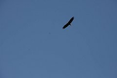IMG-20100822-142652