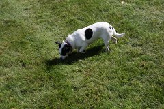 IMG-20100822-143432