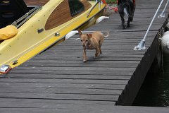 IMG-20100822-145244