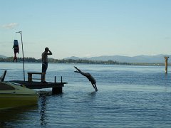 IMG-20100823-184514 : July-21-29-2010