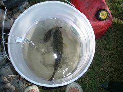 IMG-20100824-103110 : July-21-29-2010