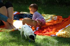 IMG-20100824-123852
