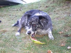 IMG-20100824-133558 : July-21-29-2010