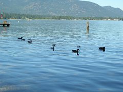 IMG-20100824-135229 : July-21-29-2010