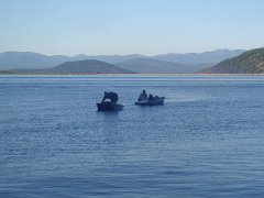 IMG-20100824-183637 : July-21-29-2010