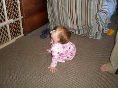 IMG-20100824-184123 : July-21-29-2010