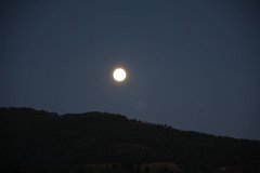 IMG-20100824-200144