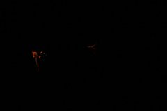 IMG-20100824-201231