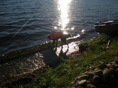 IMG-20100825-072529 : July-21-29-2010