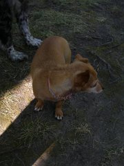IMG-20100825-092812 : July-21-29-2010