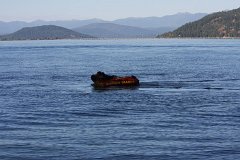 IMG-20100825-172114