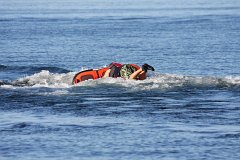 IMG-20100825-172126
