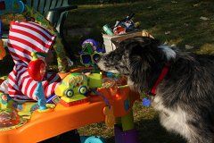 IMG-20100826-074732
