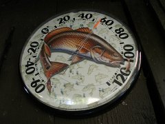 IMG-20100826-082541 : July-21-29-2010