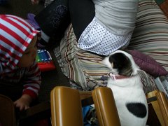 IMG-20100826-094745 : July-21-29-2010